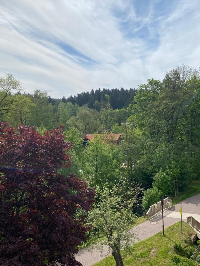 Hotel Braunlage Exteriör bild
