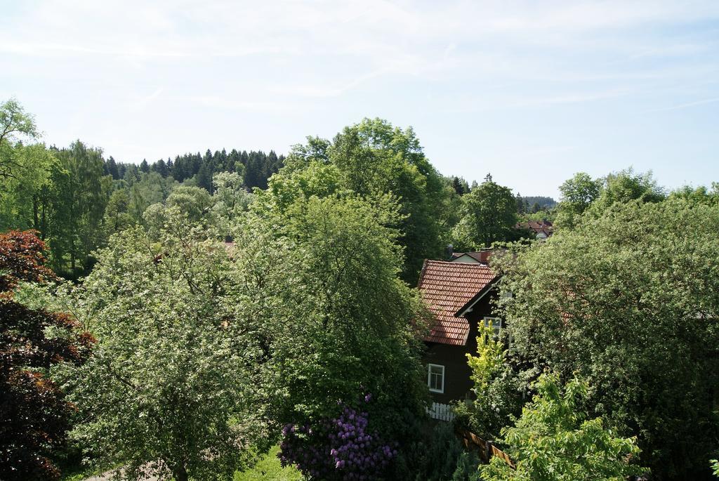 Hotel Braunlage Exteriör bild