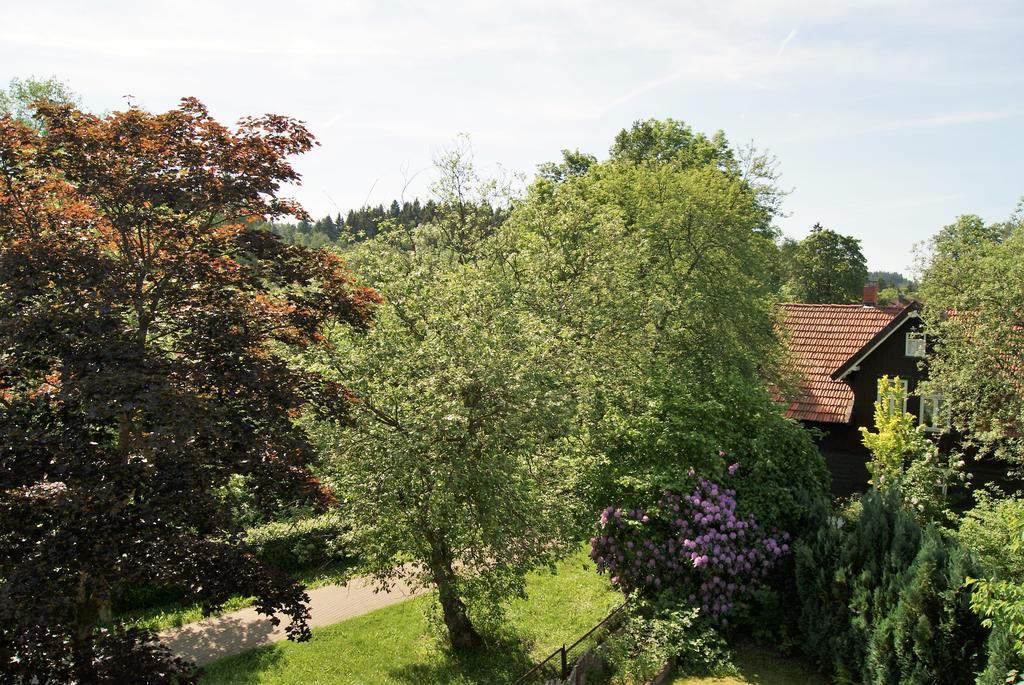 Hotel Braunlage Exteriör bild